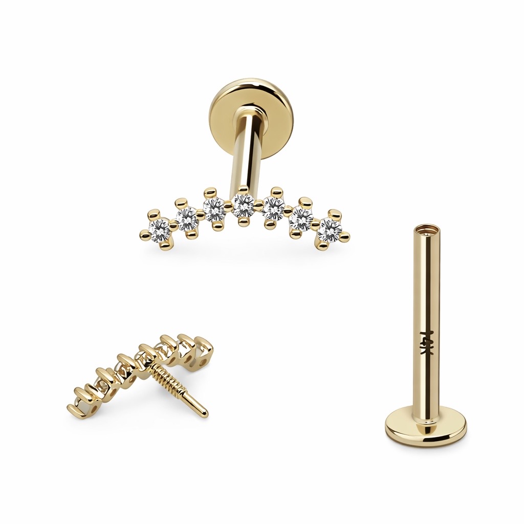 14K Gold Luminous Arc Earring